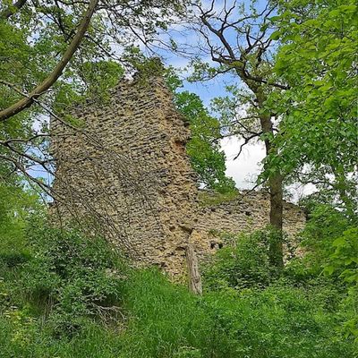 hakel-domburg