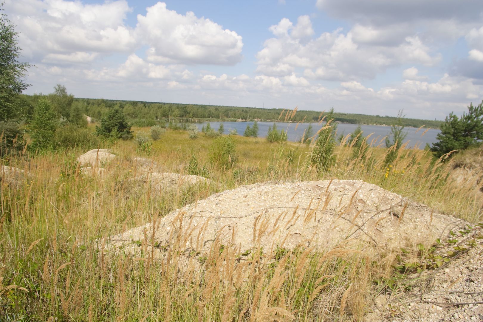 Blick auf Landschaft und einen See