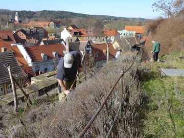 Einsatz am Schlossberg Quedlinburg 